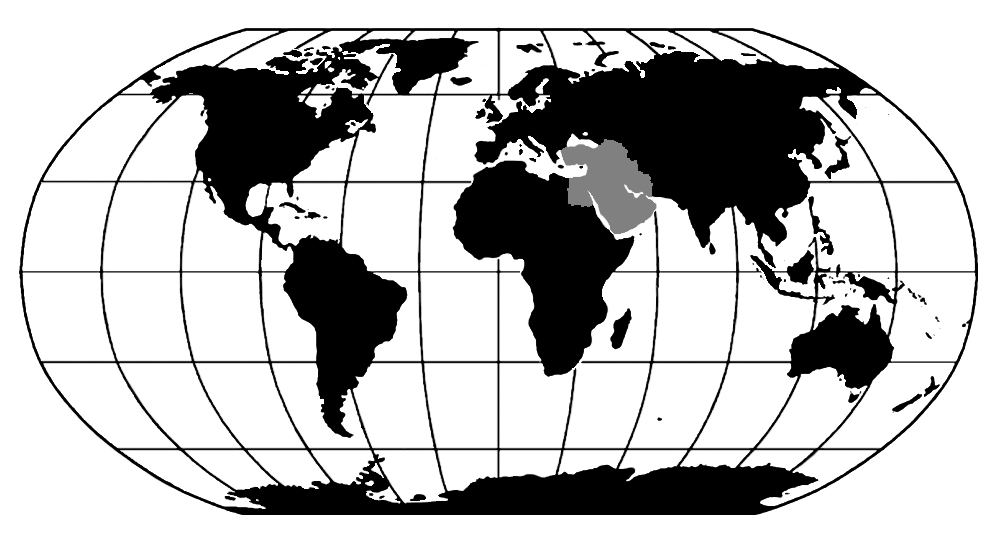 map middle east